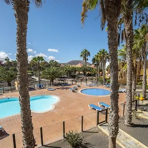 https://lightbooking-blue-and-pool-oasis-royal.in-canary-islands.com
